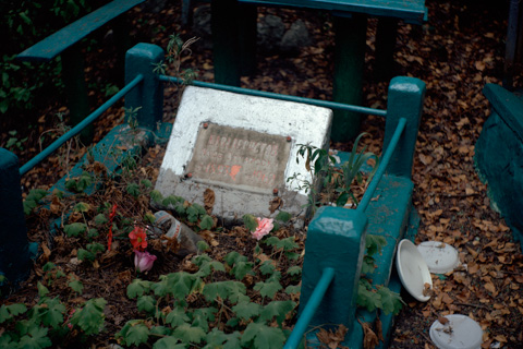 "plane - train - woman - sanatorium - cemetery" (Russland - Ukraine, 2013)